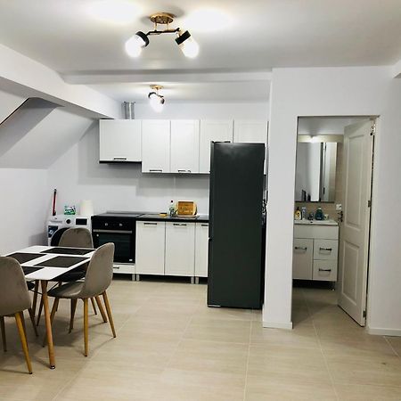 New And Modern Apartments In Villa, Near City Center M36 Тимишоара Екстериор снимка