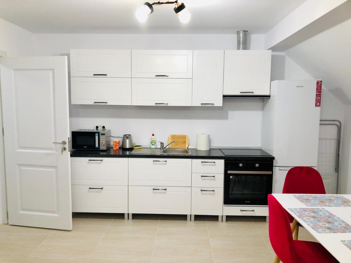 New And Modern Apartments In Villa, Near City Center M36 Тимишоара Екстериор снимка