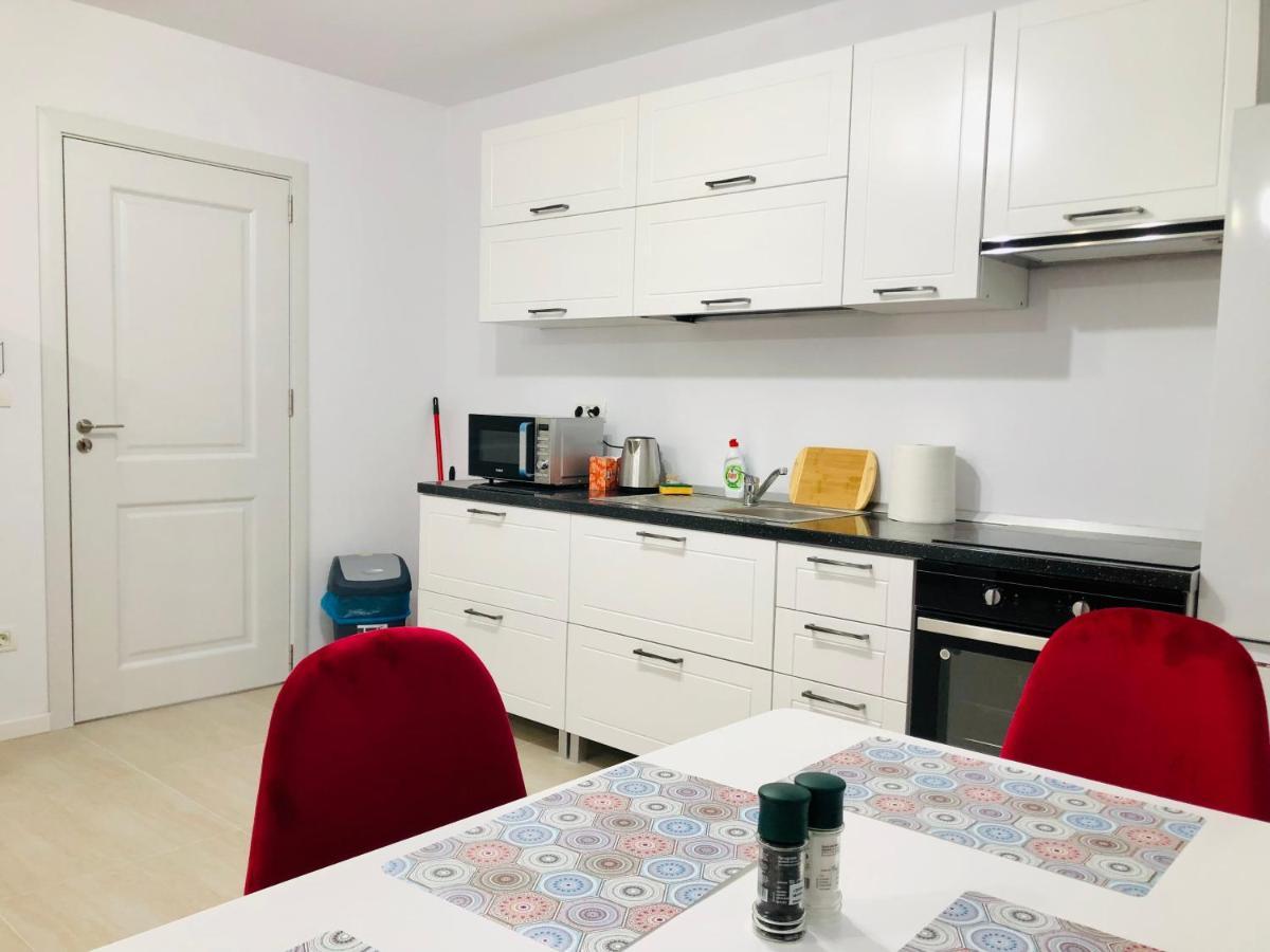New And Modern Apartments In Villa, Near City Center M36 Тимишоара Екстериор снимка