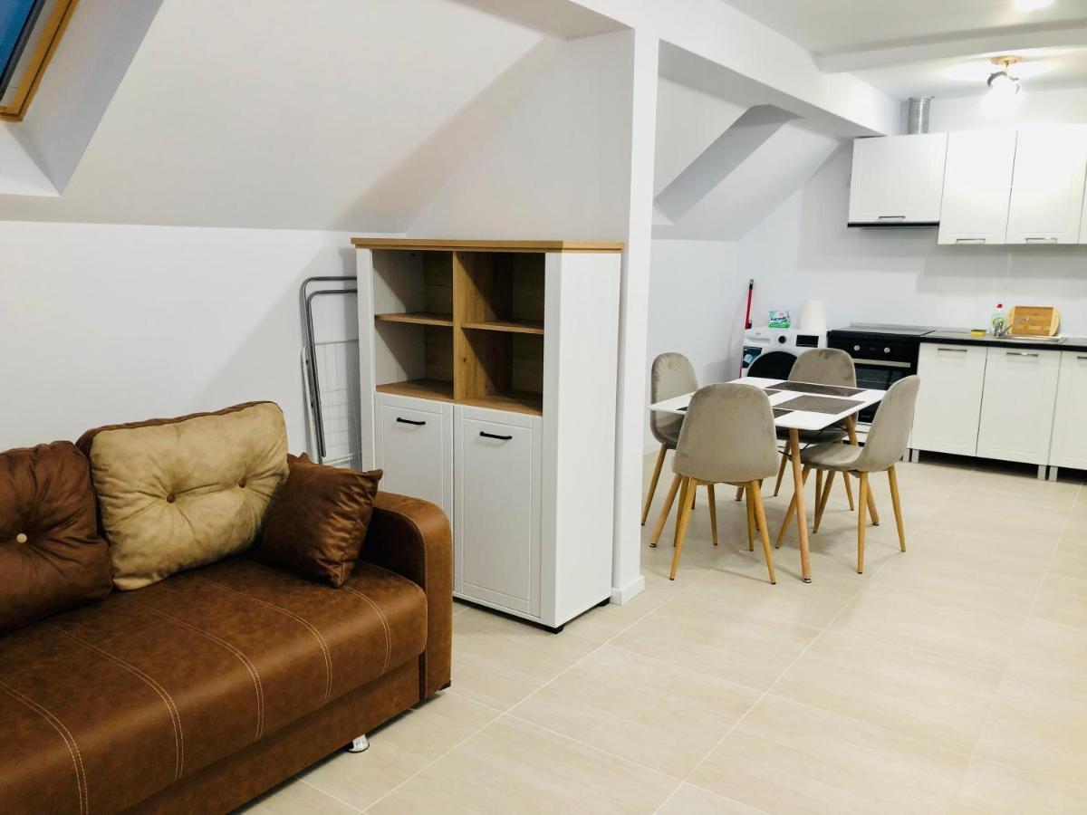 New And Modern Apartments In Villa, Near City Center M36 Тимишоара Екстериор снимка
