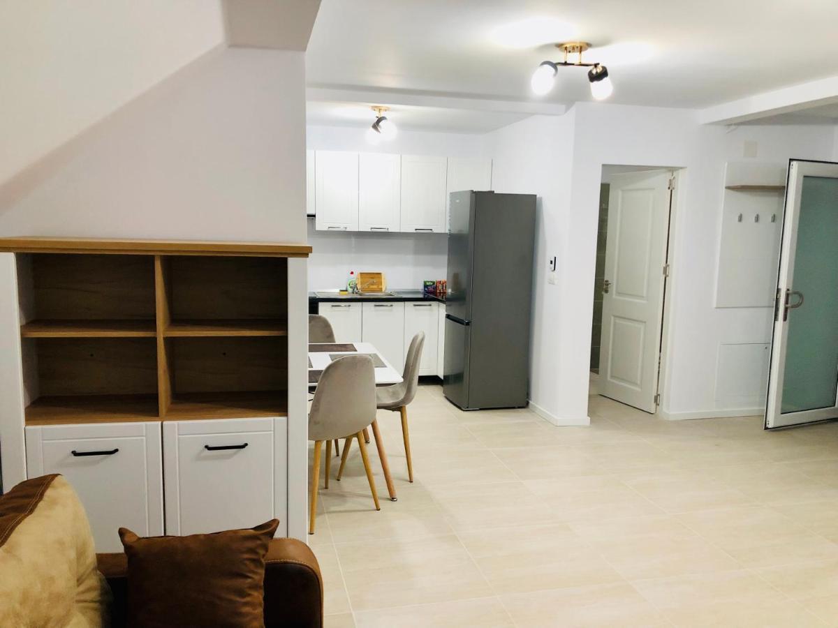New And Modern Apartments In Villa, Near City Center M36 Тимишоара Екстериор снимка