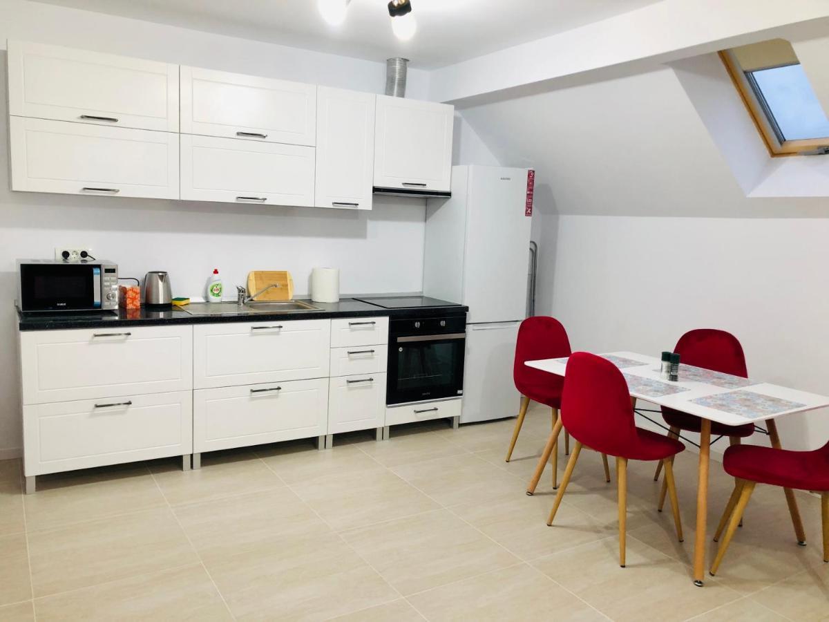 New And Modern Apartments In Villa, Near City Center M36 Тимишоара Екстериор снимка