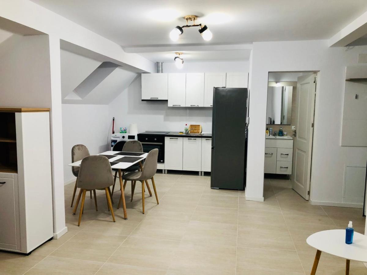 New And Modern Apartments In Villa, Near City Center M36 Тимишоара Екстериор снимка