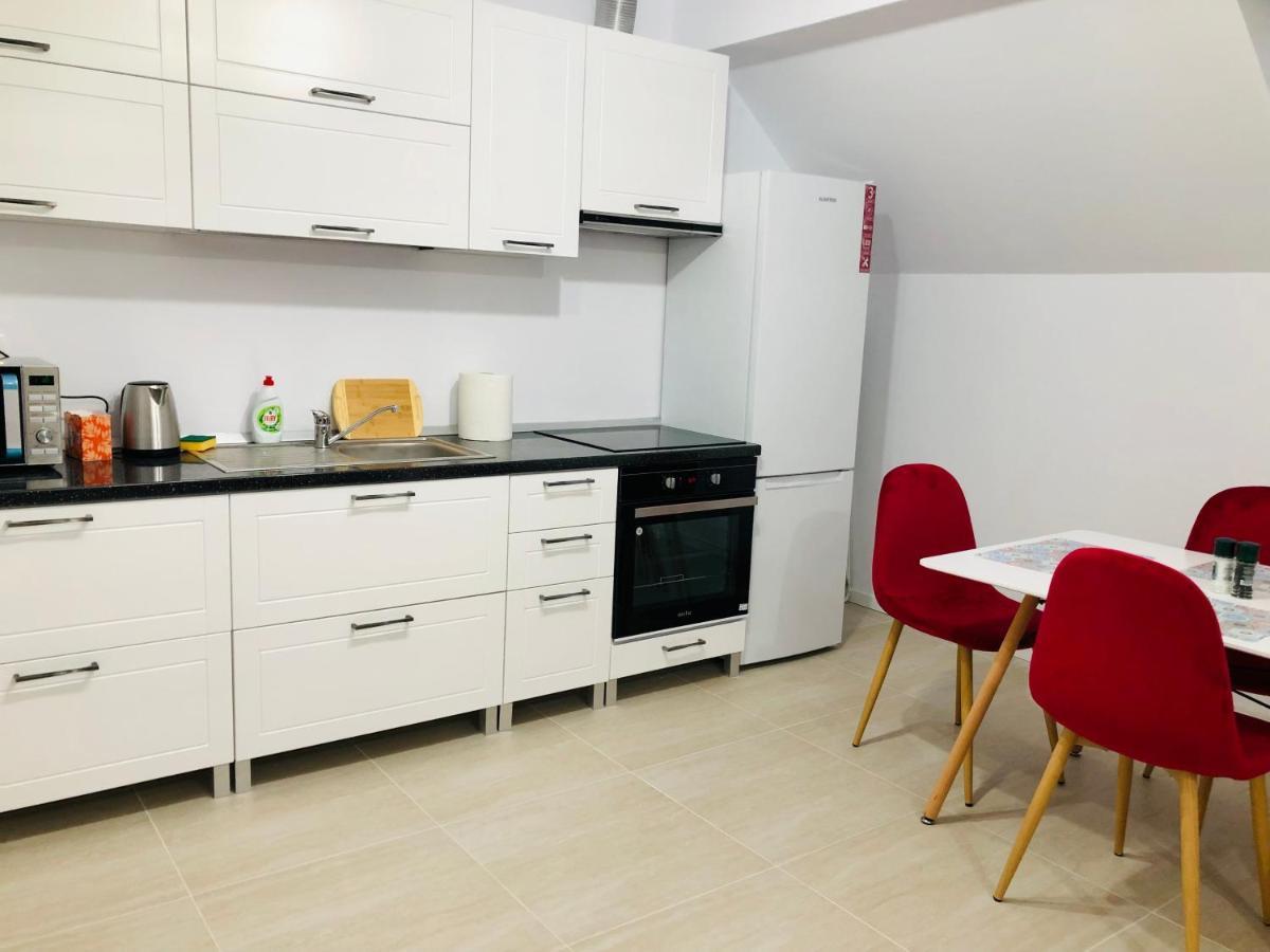 New And Modern Apartments In Villa, Near City Center M36 Тимишоара Екстериор снимка