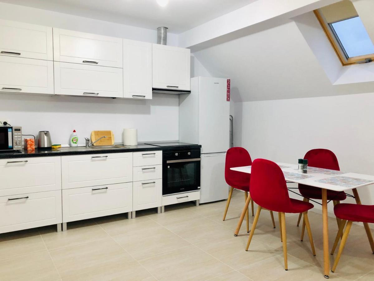 New And Modern Apartments In Villa, Near City Center M36 Тимишоара Екстериор снимка