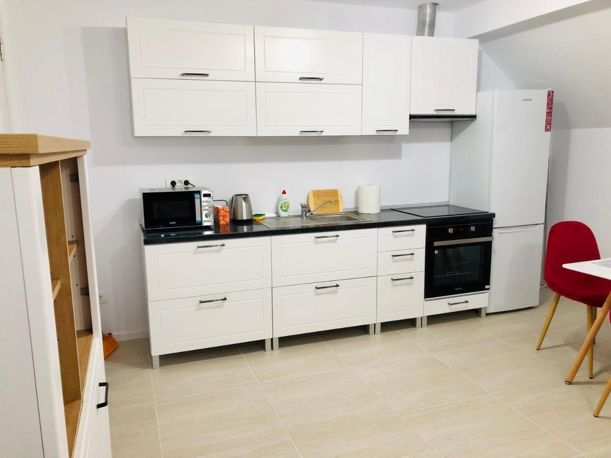 New And Modern Apartments In Villa, Near City Center M36 Тимишоара Екстериор снимка