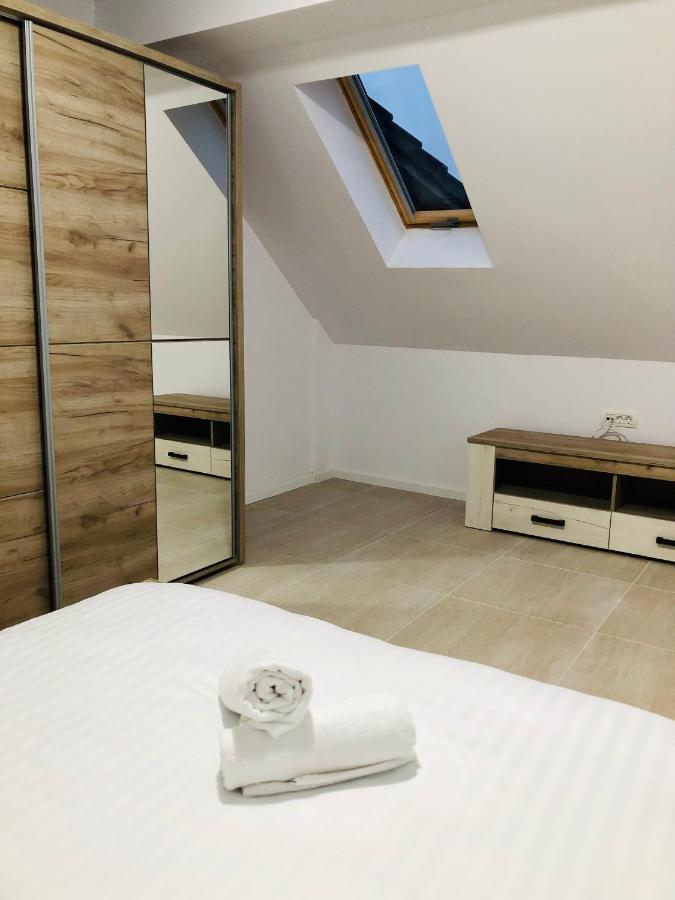 New And Modern Apartments In Villa, Near City Center M36 Тимишоара Екстериор снимка