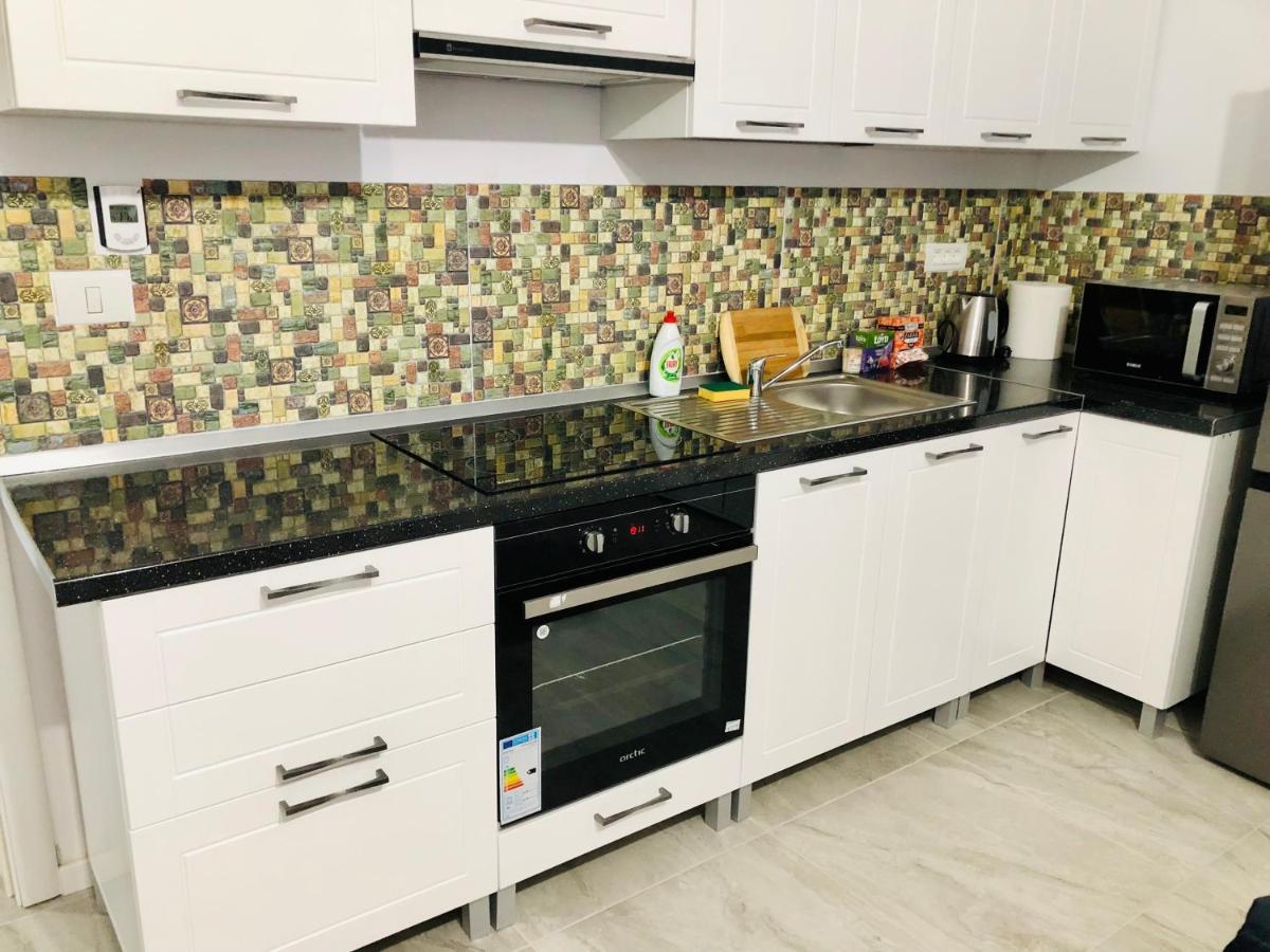 New And Modern Apartments In Villa, Near City Center M36 Тимишоара Екстериор снимка