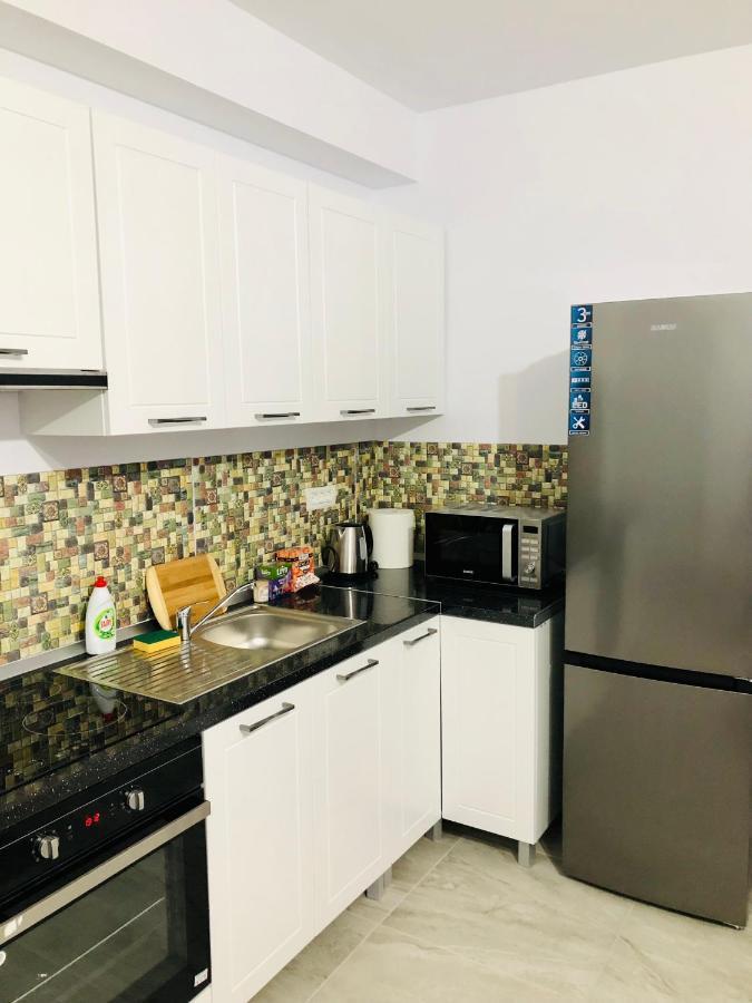 New And Modern Apartments In Villa, Near City Center M36 Тимишоара Екстериор снимка