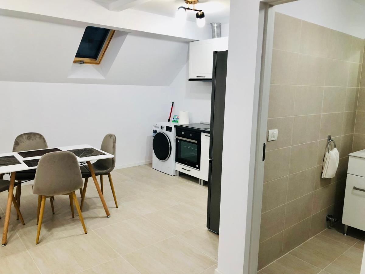 New And Modern Apartments In Villa, Near City Center M36 Тимишоара Екстериор снимка