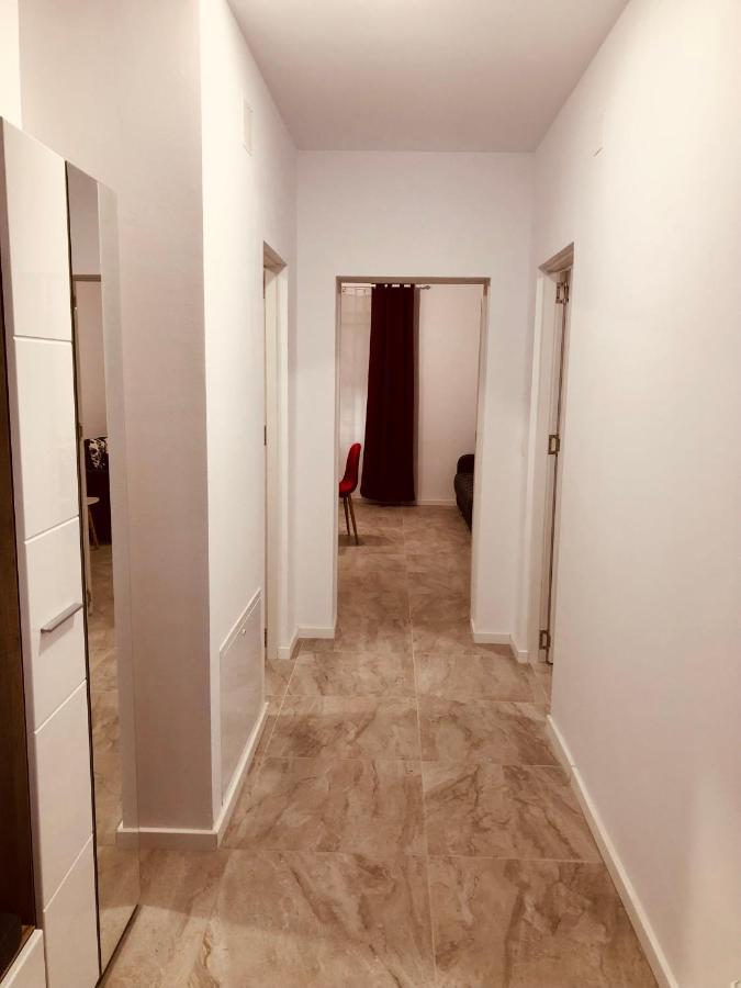 New And Modern Apartments In Villa, Near City Center M36 Тимишоара Екстериор снимка
