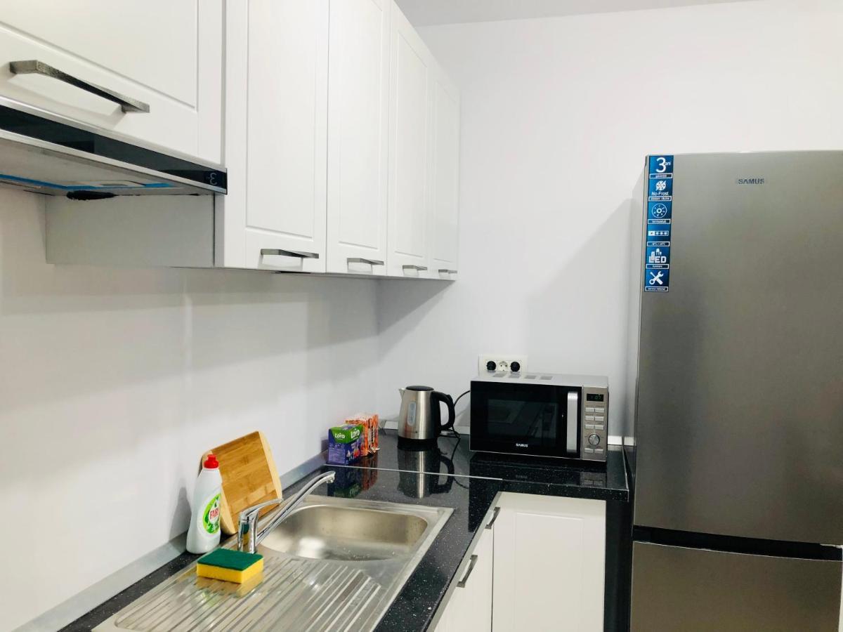 New And Modern Apartments In Villa, Near City Center M36 Тимишоара Екстериор снимка
